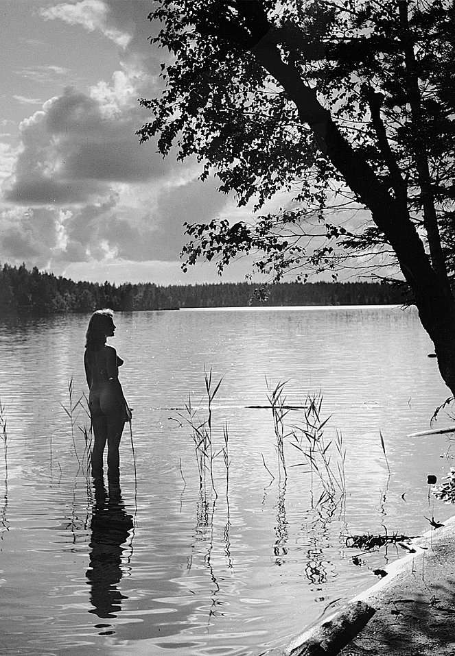 Liebe einer Sommernacht - Filmfotos - Ann Savo