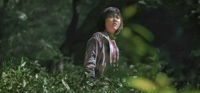 Okja - De la película - Seo-hyun Ahn