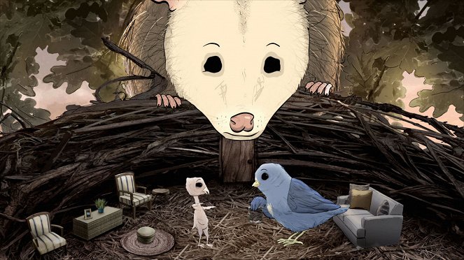Animals. - Worms Birds Possums. - Film