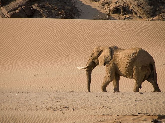 Namibia’s Desert Kingdom - Z filmu