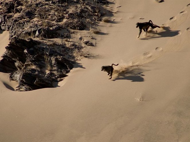 Namibia's Skeleton Coast - Photos