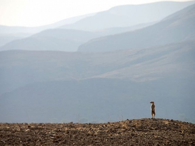 Namibia’s Desert Kingdom - Van film