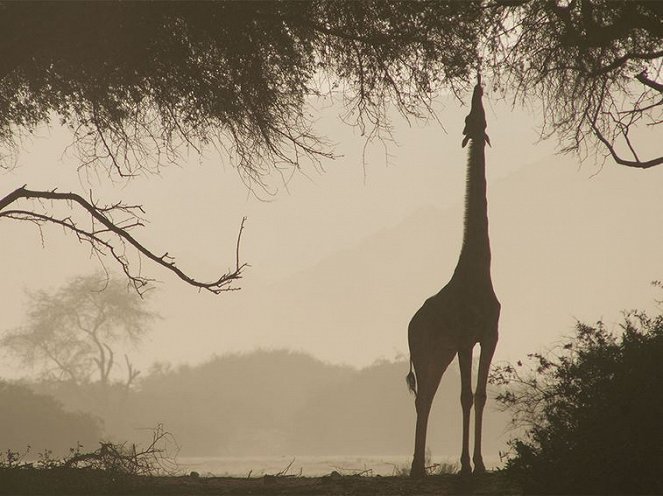 Namibia’s Desert Kingdom - Van film