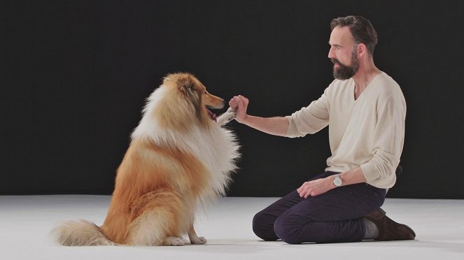 Das wahre Wesen unserer Hunde und Katzen - De la película