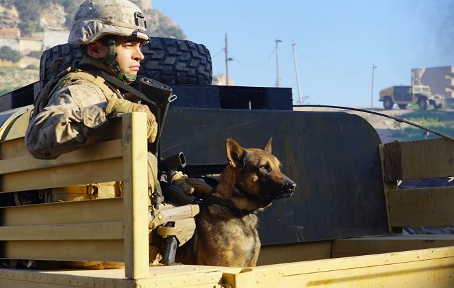 Sergeant Rex - Nicht ohne meinen Hund - Filmfotos - Ramon Rodriguez