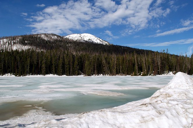 Yellowstone-Nationalpark: Warum verschwinden die Wapitis? - Filmfotók