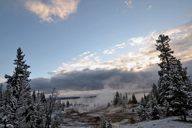 Yellowstone-Nationalpark: Warum verschwinden die Wapitis? - Van film