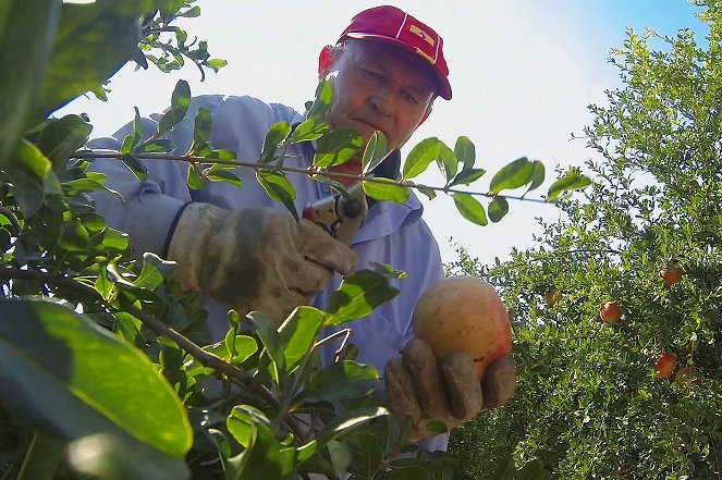 Garten Eden - Liebesfrucht der Götter: Der Granatapfel - Filmfotók