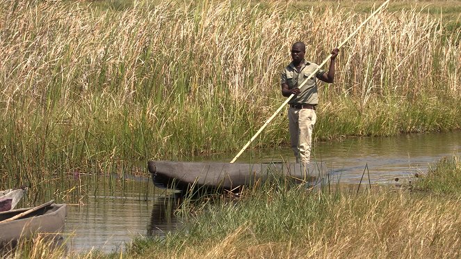 Botswana, le joyau africain - Film