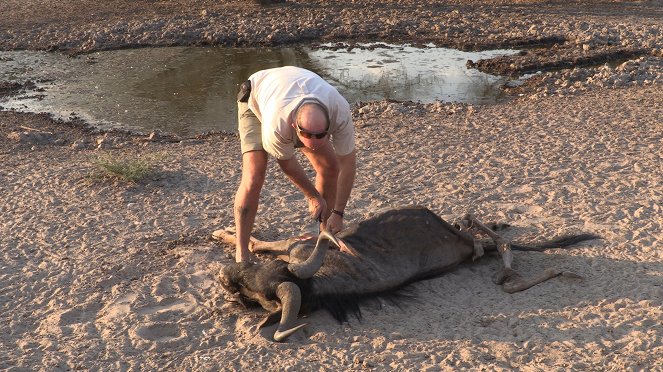 Botswana, the jewel of Africa - Photos