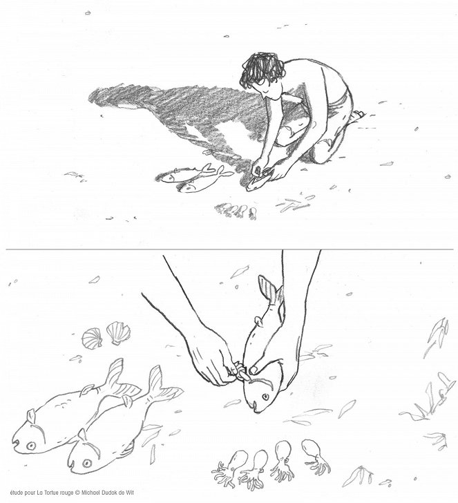 The Red Turtle - Concept art