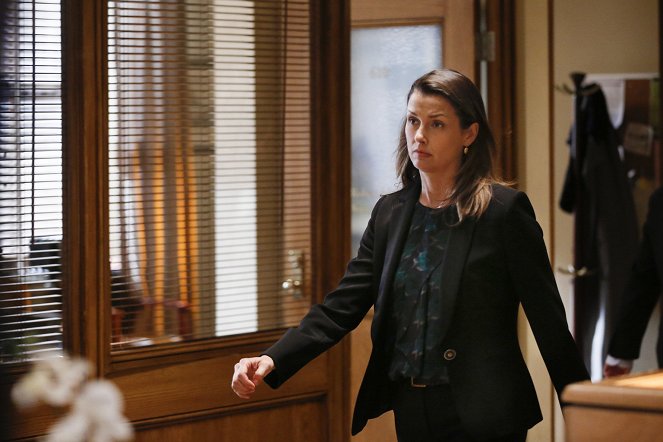 Blue Bloods - Crime Scene New York - With Friends Like These - Photos - Bridget Moynahan