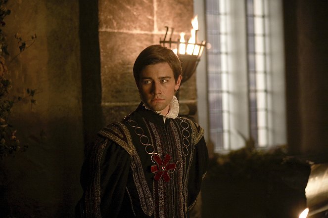 The Tudors - Natural Ally - Van film - Torrance Coombs