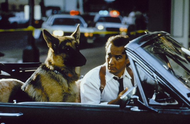 Kutyám, Jerry Lee - Filmfotók - Jim Belushi