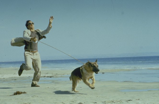 Kutyám, Jerry Lee - Filmfotók - Jim Belushi