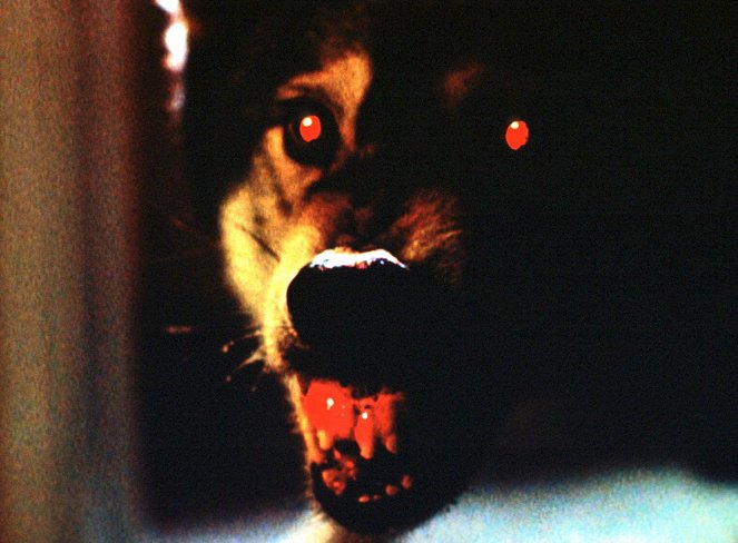 The X-Files - Entre chien et loup - Film
