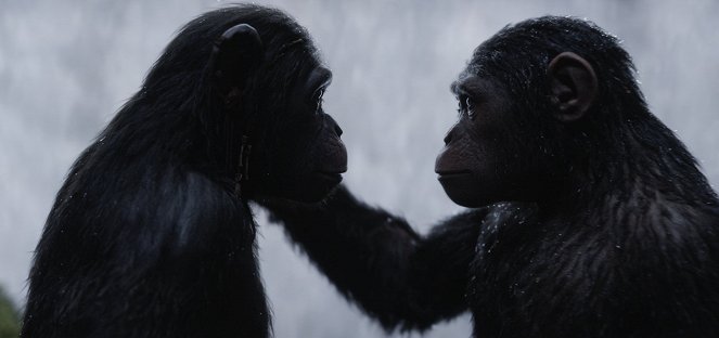Planet der Affen 3: Survival - Filmfotos