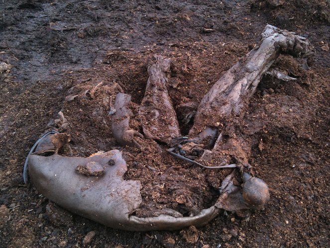 4.000-Year-Old Cold Case: the Body in the Bog - De la película