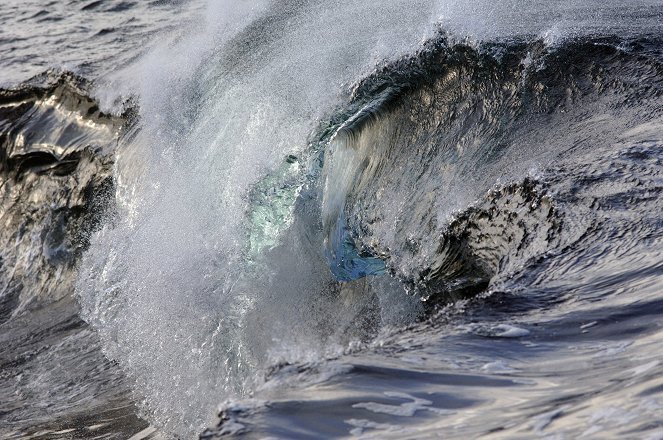 Wilder Atlantik – Ozean der Extreme - Strom des Lebens - Filmfotos