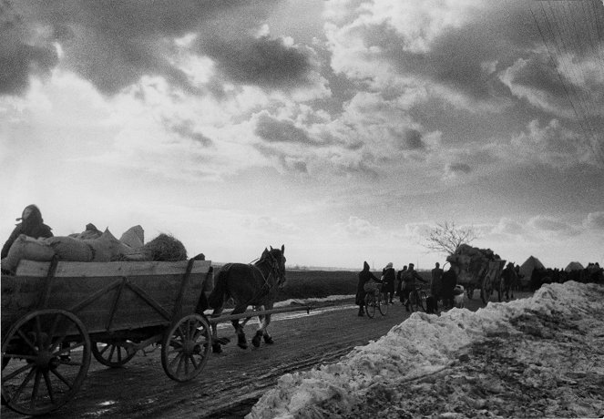 Les Déracinés, l'Europe en 45 - Van film