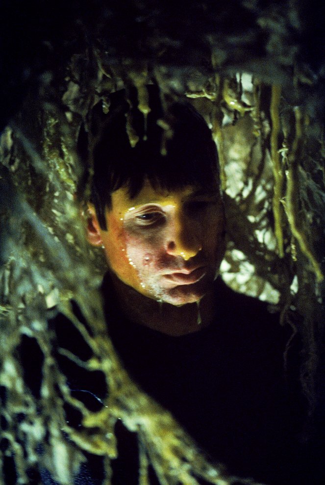 The X-Files - Spores - Film - David Duchovny