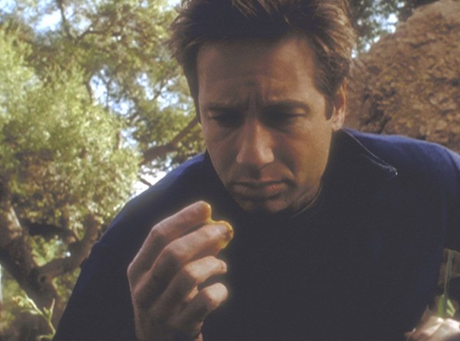 The X-Files - Season 6 - Field Trip - Photos - David Duchovny