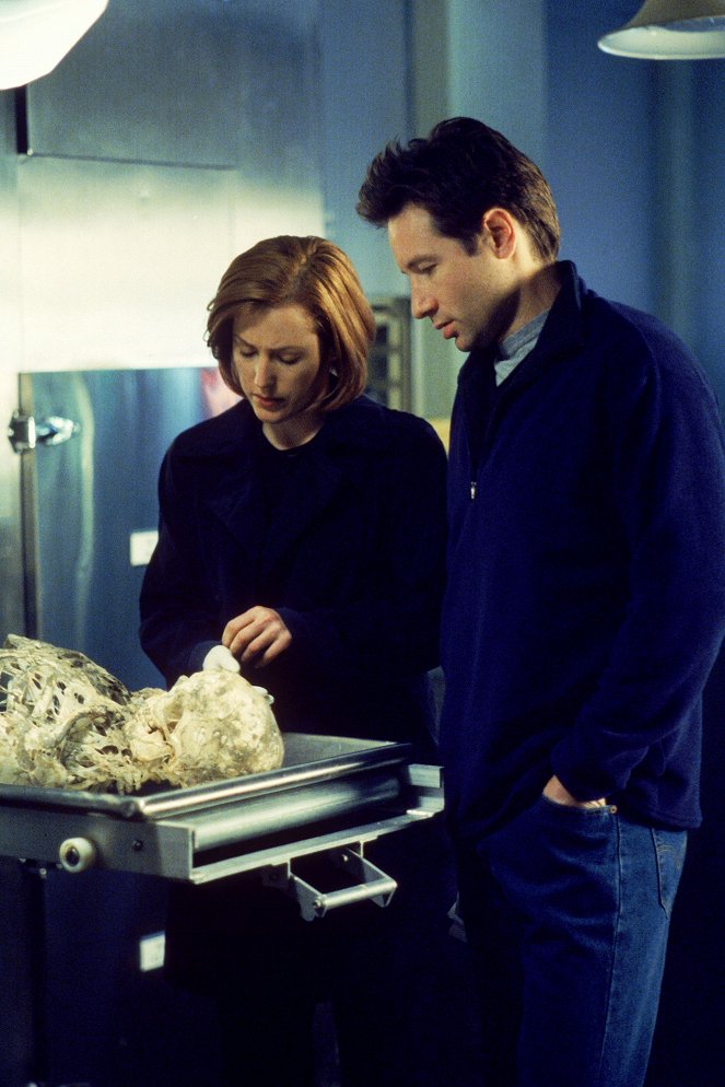 The X-Files - Season 6 - Field Trip - Photos - Gillian Anderson, David Duchovny