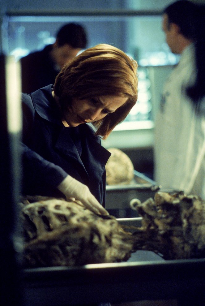 The X-Files - Salaiset kansiot - Field Trip - Kuvat elokuvasta - Gillian Anderson