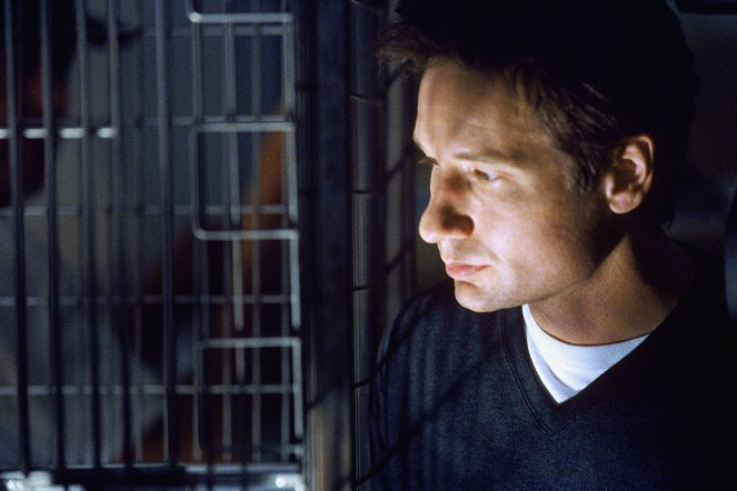 The X-Files - Biogenesis - Van film - David Duchovny