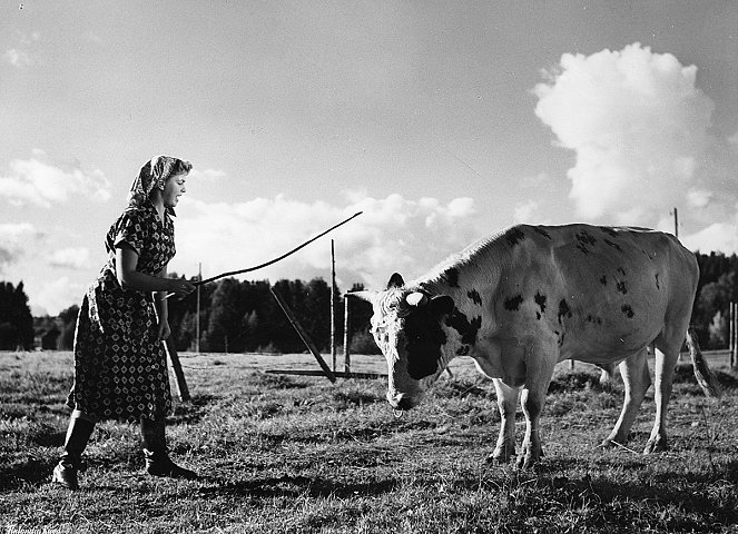 The Farmer's Wife - Photos - Raili Mäki
