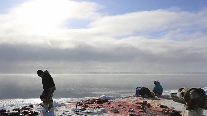 Tichý hněv Inuitů - Z filmu