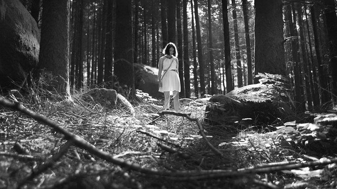 A Floresta das Almas Perdidas - Do filme