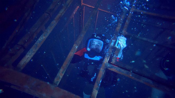 47 Meters Down - Van film - Mandy Moore