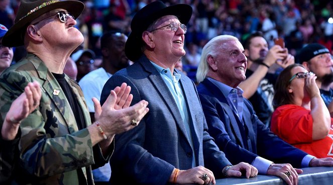 WWE Money in the Bank - Do filme - Ric Flair