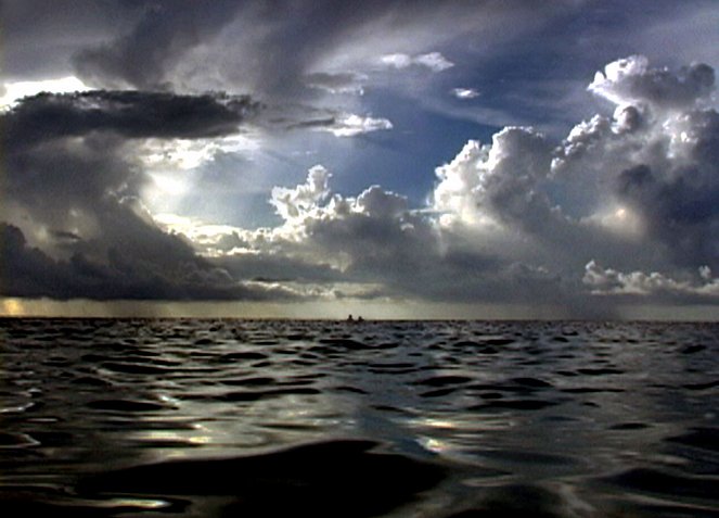 Open Water - Kuvat elokuvasta