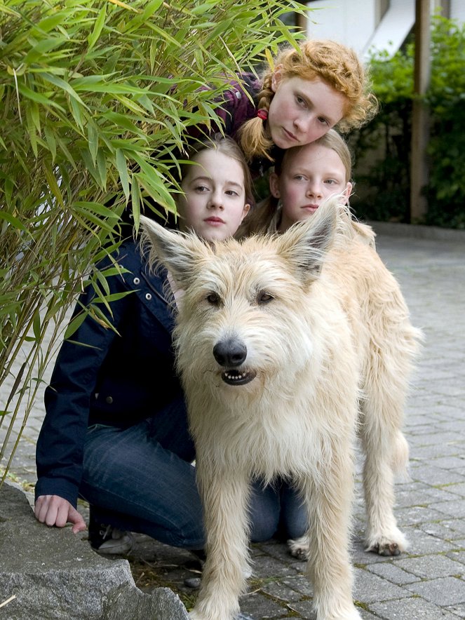 Tiere bis unters Dach - Season 2 - Hundefänger - Filmfotos