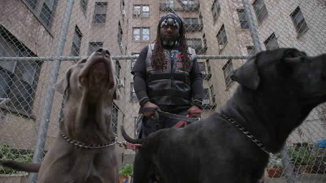 Die Tierschützer von New York - Filmfotos