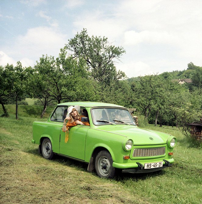 Holiday for a Dog - Photos - Jitka Molavcová