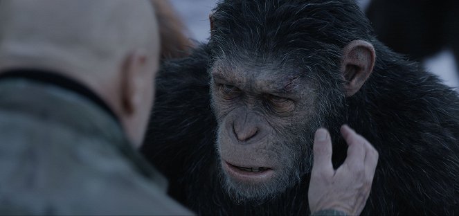 La guerra del planeta de los simios - De la película
