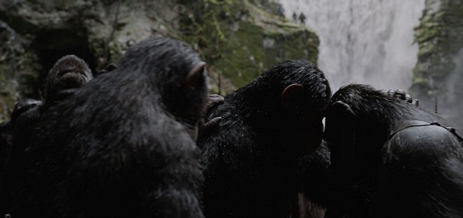 A majmok bolygója - Háború - Filmfotók