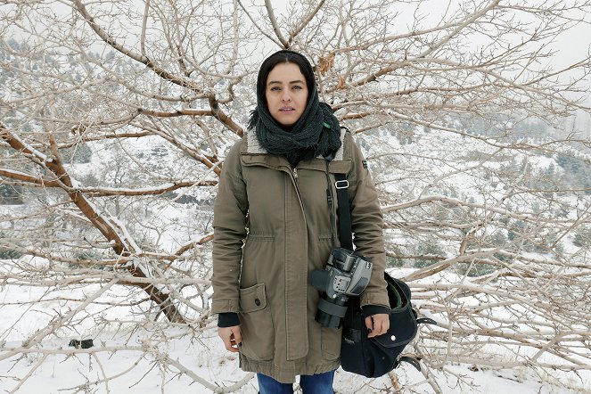 Focus Iran - L'audace au premier plan - Filmfotók