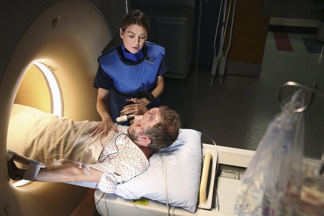 Grey's Anatomy - I Must Have Lost It on the Wind - Van film - Ellen Pompeo