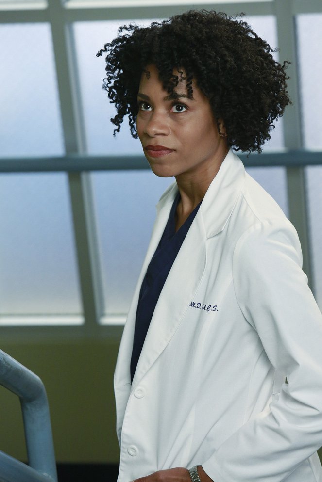 Grey's Anatomy - Puzzle with a Piece Missing - Van film - Kelly McCreary