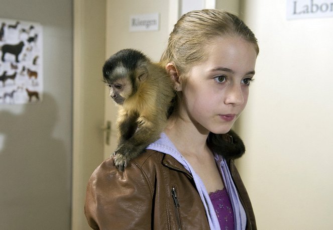 Dům plný zvířátek - Opičí ostuda - Z filmu