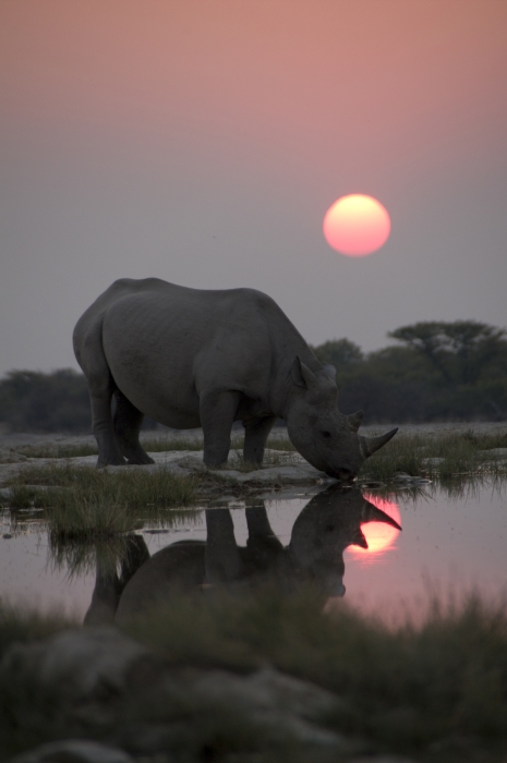 David Attenborough: Afrika - Filmfotók