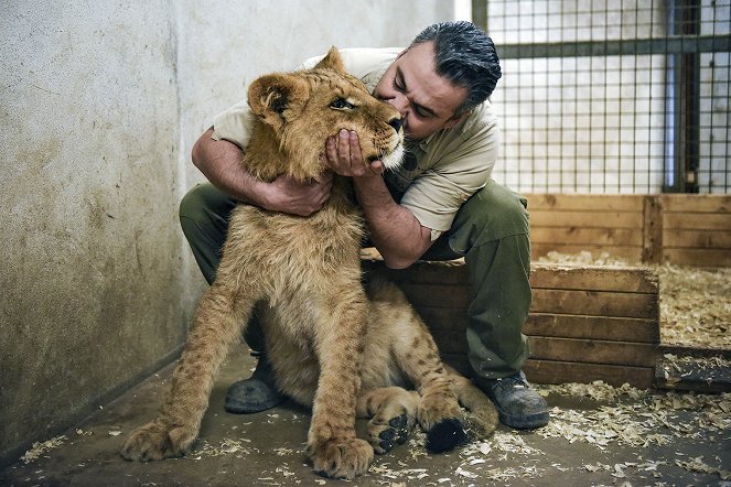 Im Zoo ist immer was los! - Filmfotos