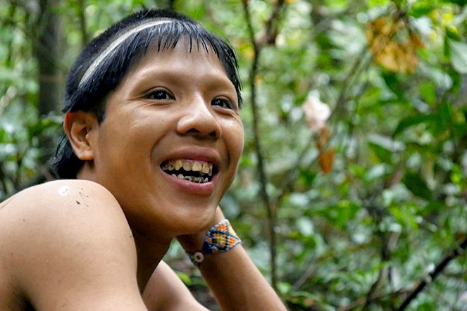 Les Paradis perdus d'Amazonie - Van film