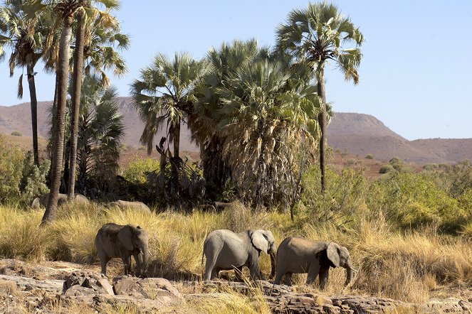 Namibia - Sanctuary of Giants - Do filme
