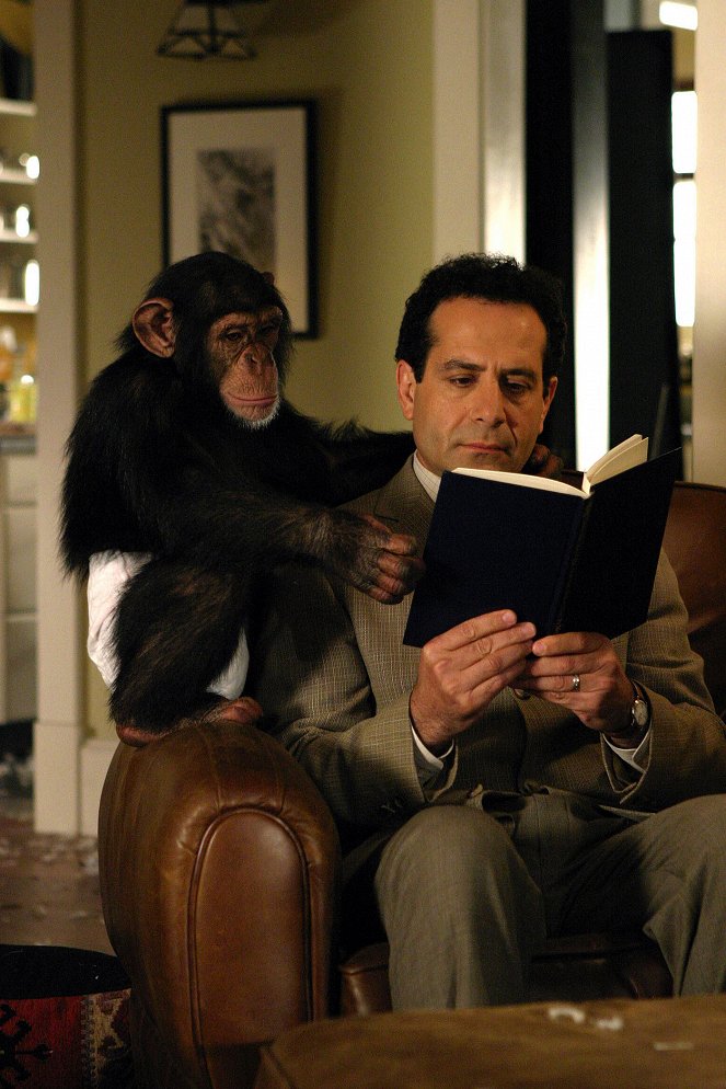 Monk - Monk et le chimpanzé - Film - Tony Shalhoub