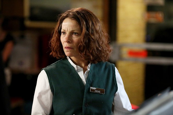 American Crime - Episode 6 - Van film - Lili Taylor